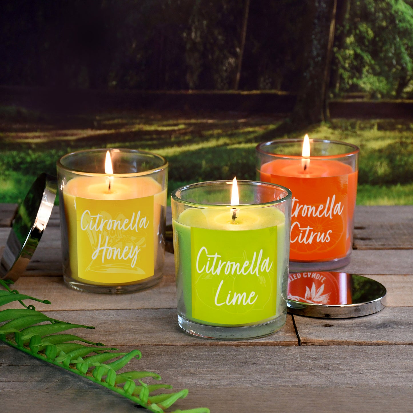 Scented Wax Candles, Citronella Collection 10oz - Set of 3