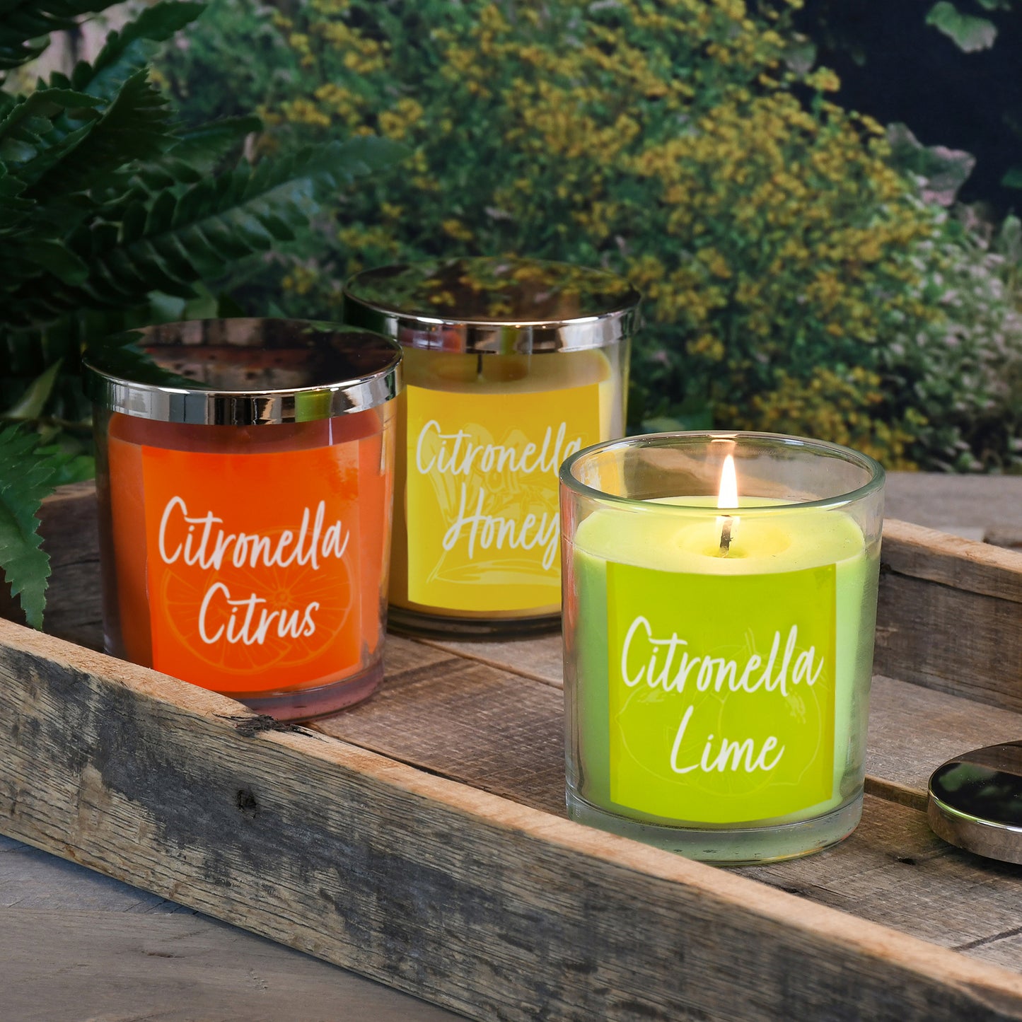 Scented Wax Candles, Citronella Collection 10oz - Set of 3