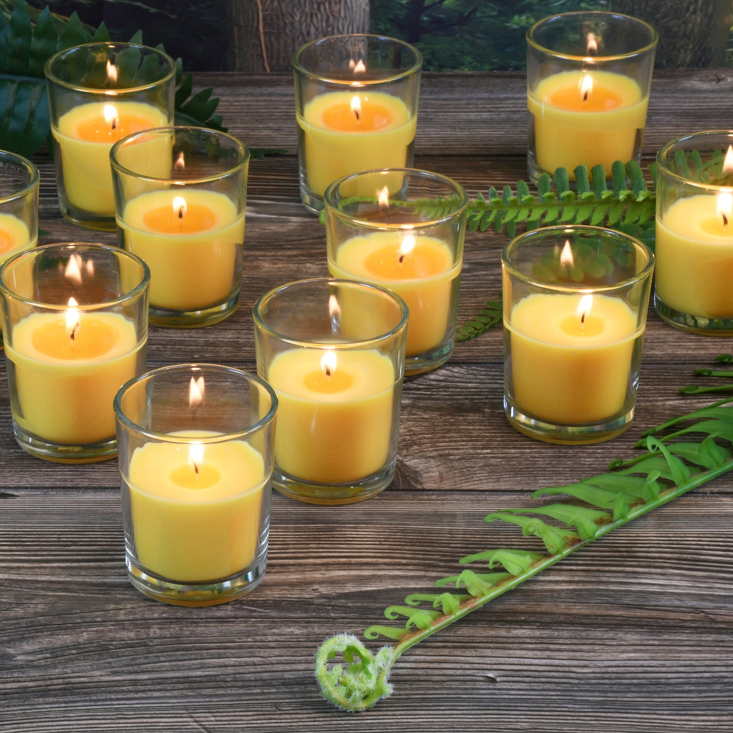 Citronella Votive Candles in Clear Glass Holders - Set of 12