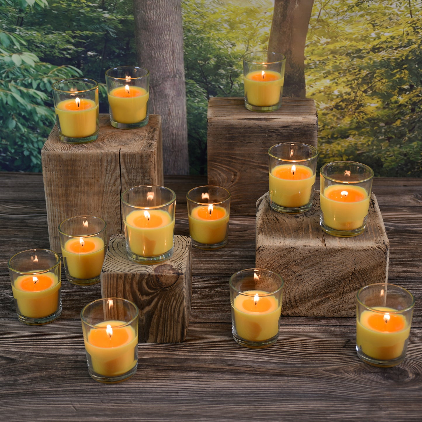 Citronella Votive Candles in Clear Glass Holders - Set of 12