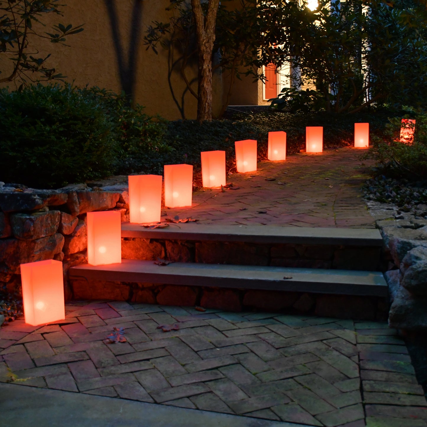 Electric Luminaria Kit, Orange - Set of 10