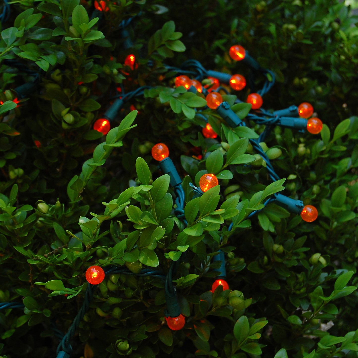 Electric String Lights - Plastic Globes - orange