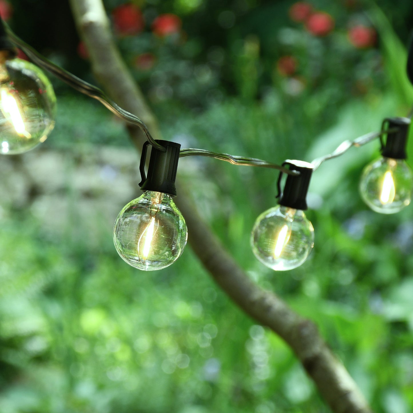 Electric LED Globe String Lights with 25 Clear Bulbs