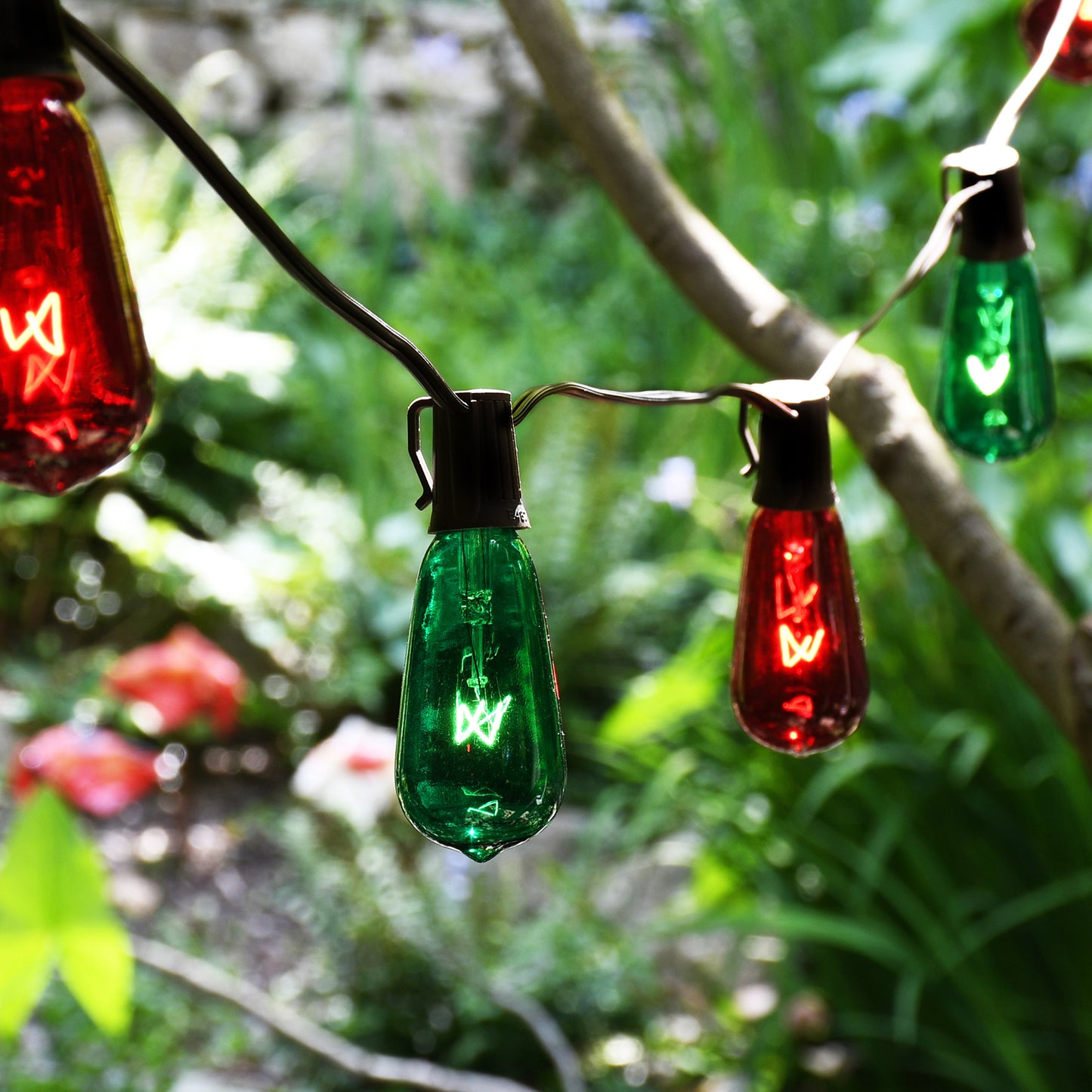 Electric String Lights with 10 Red and Green Edison Bulbs