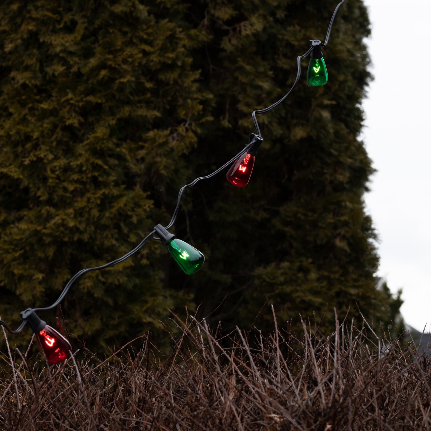 Electric String Lights with 10 Red and Green Edison Bulbs