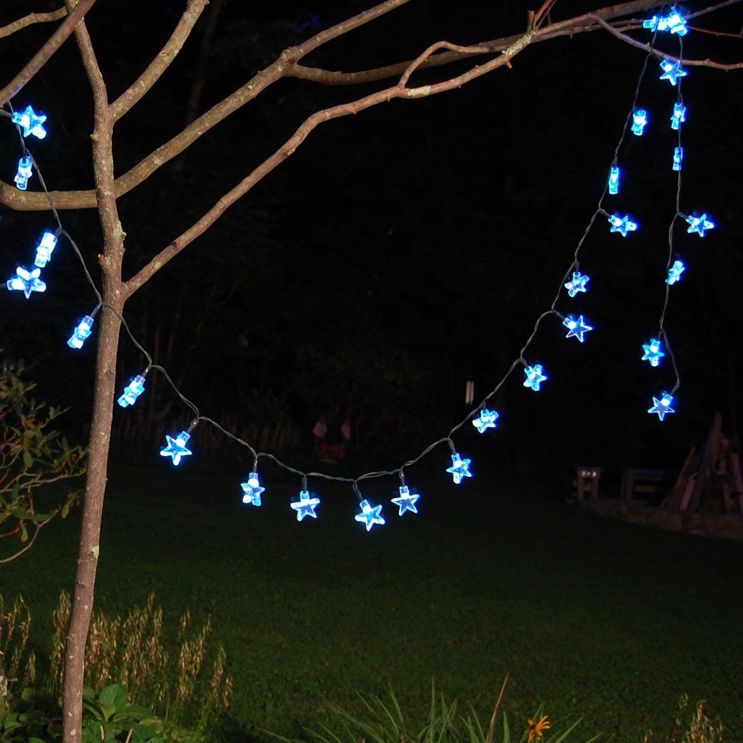 Solar Powered Mini String Lights with 30 Stars