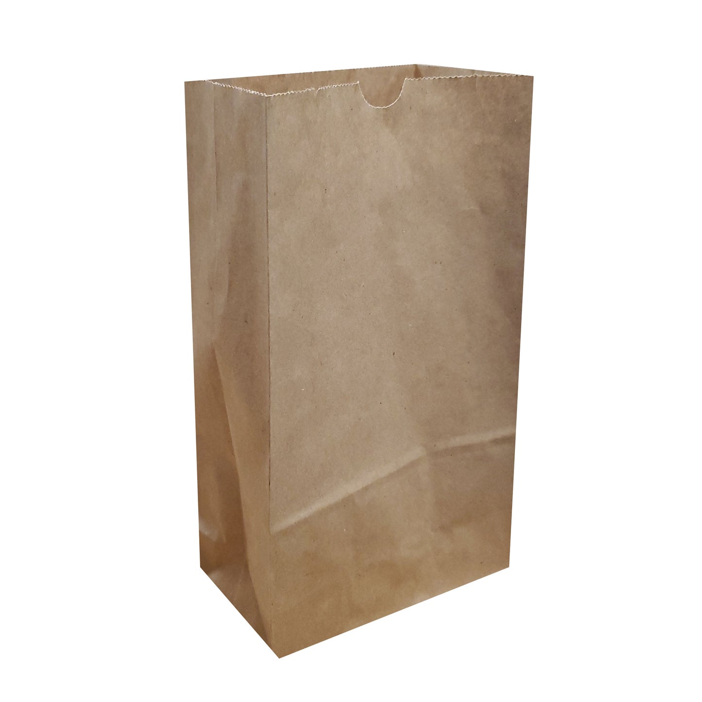 Luminaria Paper Bag, Tan - 24 Count