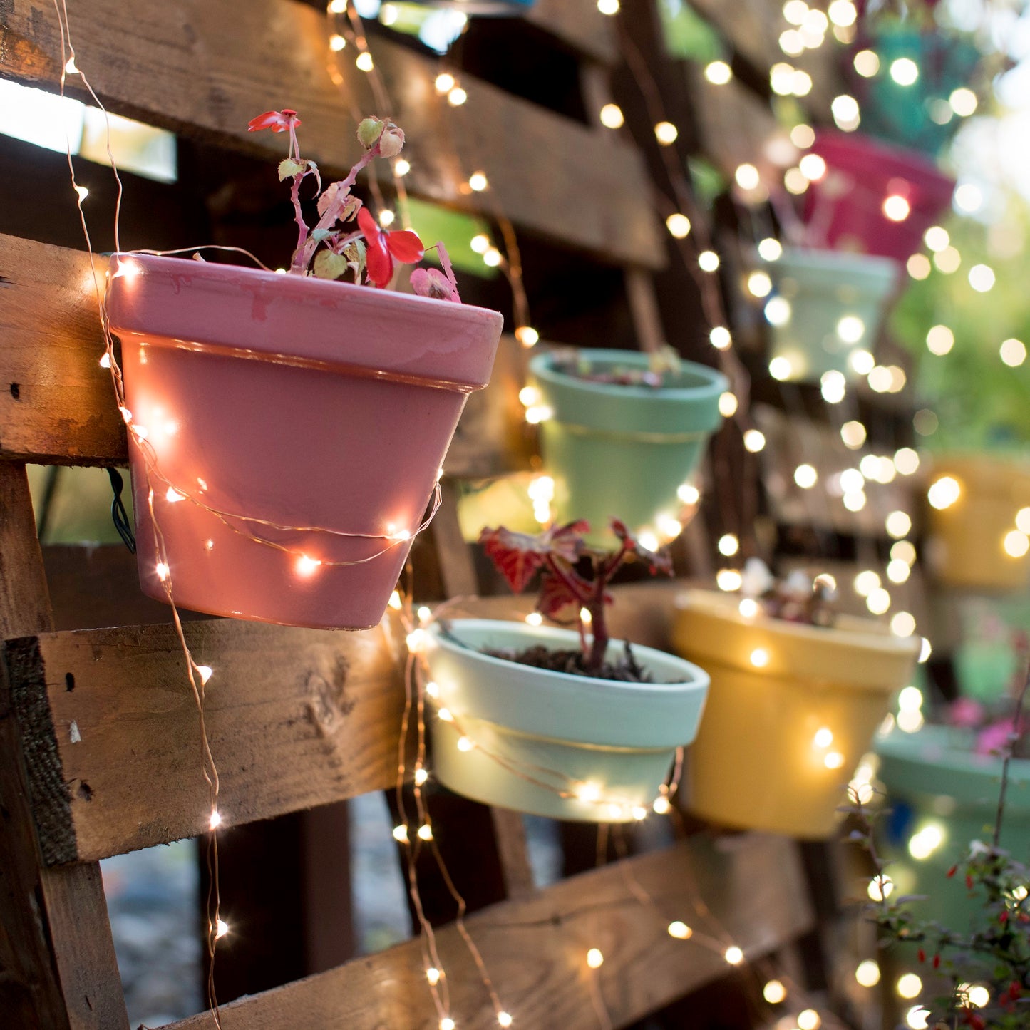 Electric Multi Strand LED Fairy String Lights - Copper