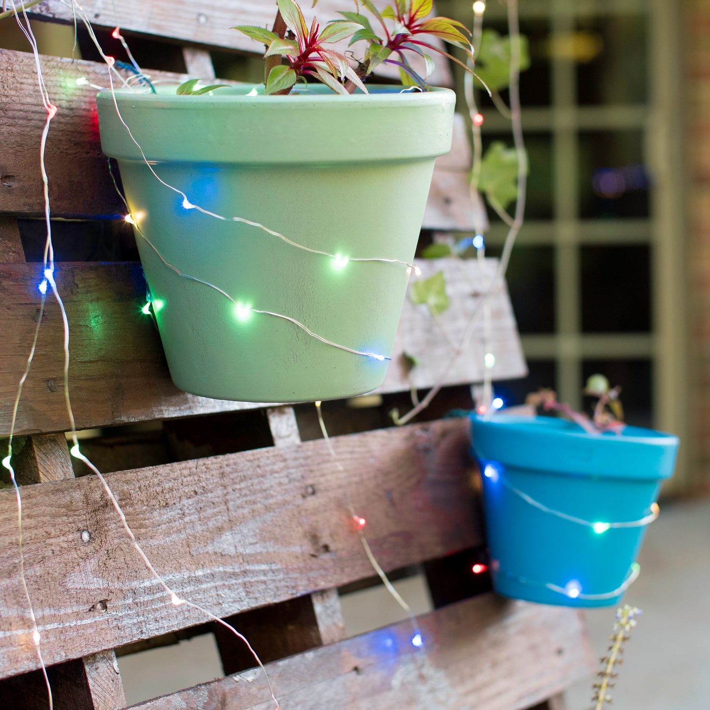 Electric Multi Strand LED Fairy String Lights - Multicolor