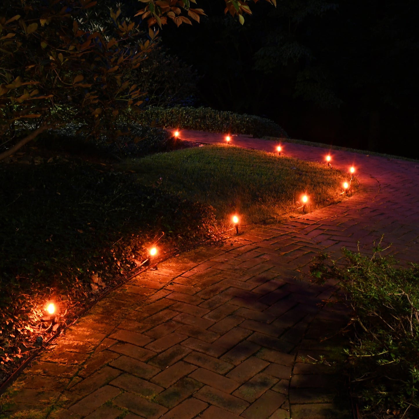 Electric Pathway Lights with 10 Orange Bulbs