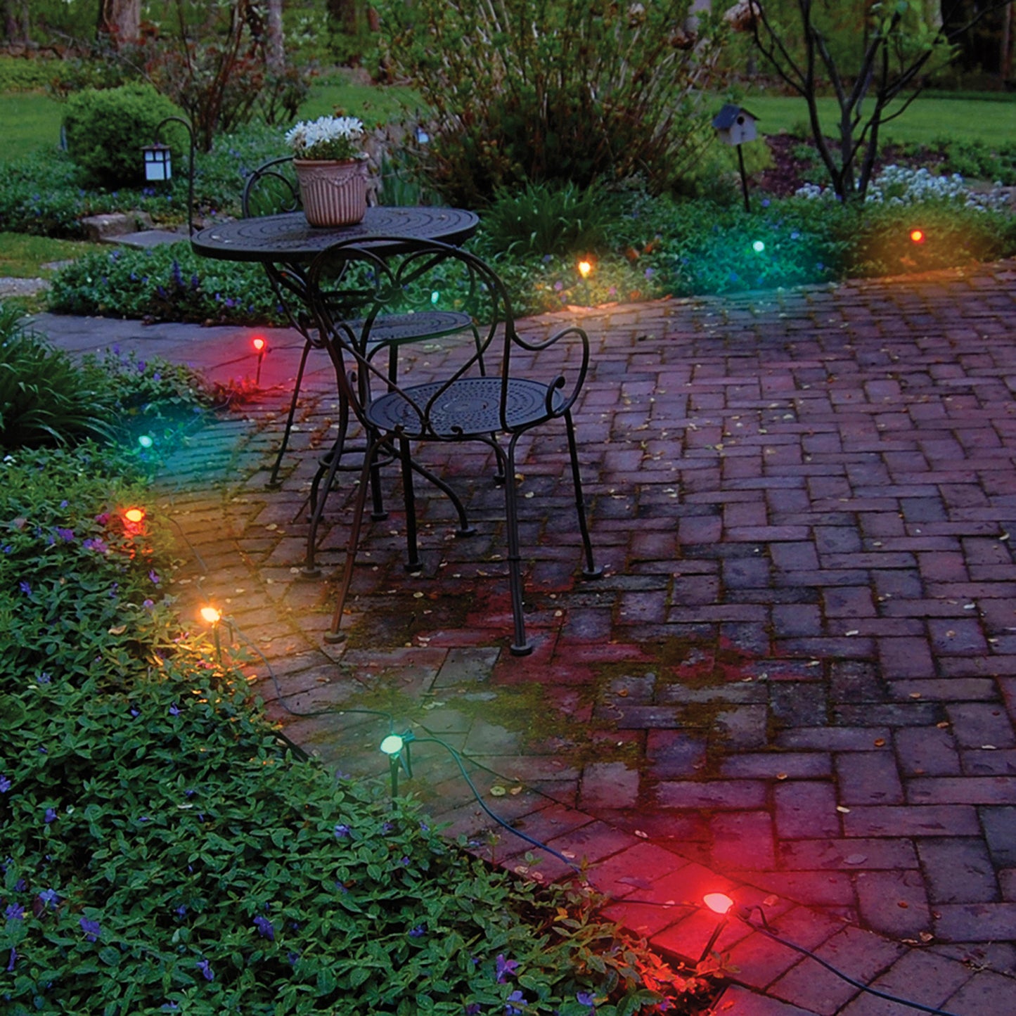 Electric Pathway Lights with 10 Multicolor Bulbs