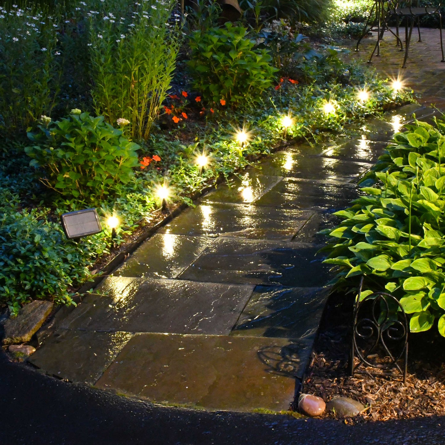 Solar Powered Pathway Lights with 8 White Globe Bulbs