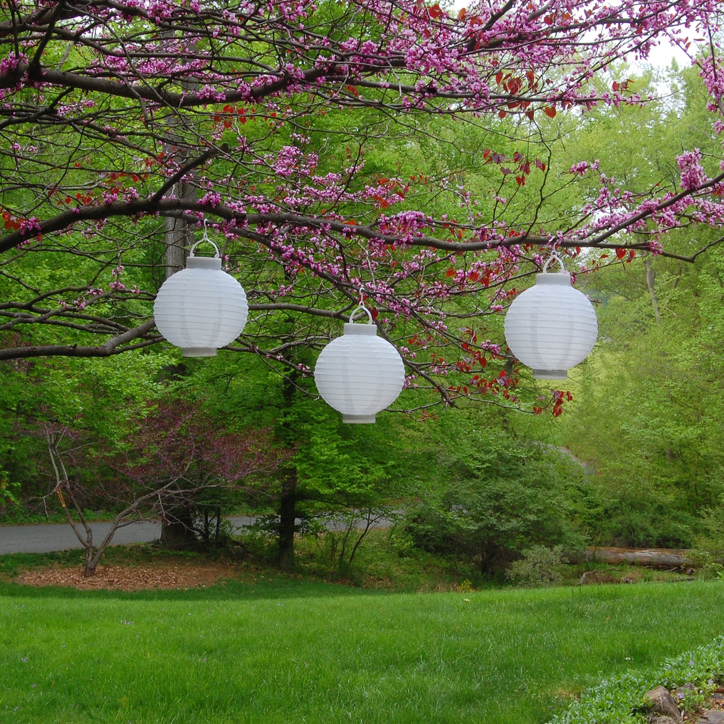 Solar Powered Nylon Lanterns with Lights, White - Set of 3