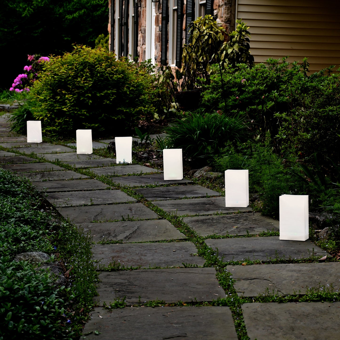 Battery Operated Luminaria Kit, White - Set of 6