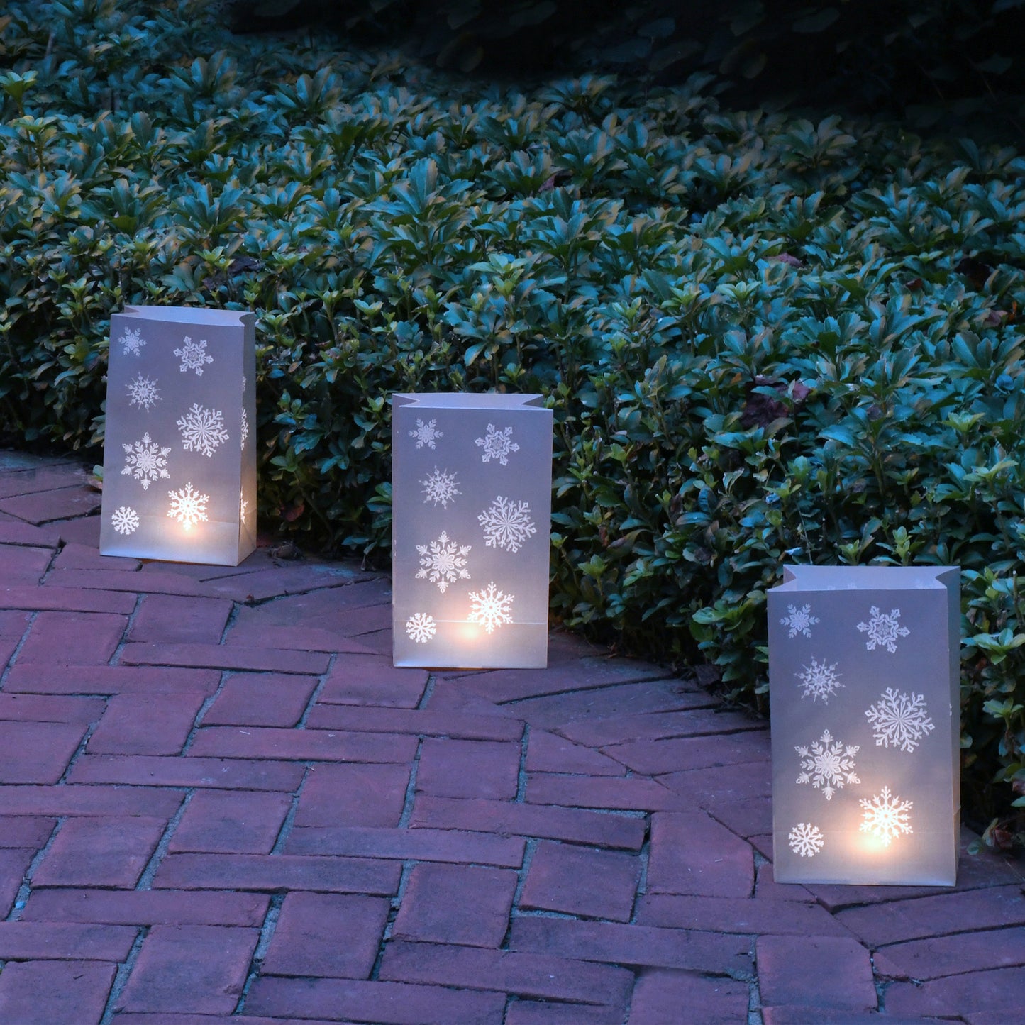 Battery Operated Luminaria Kit, Silver Snowflake - Set of 6