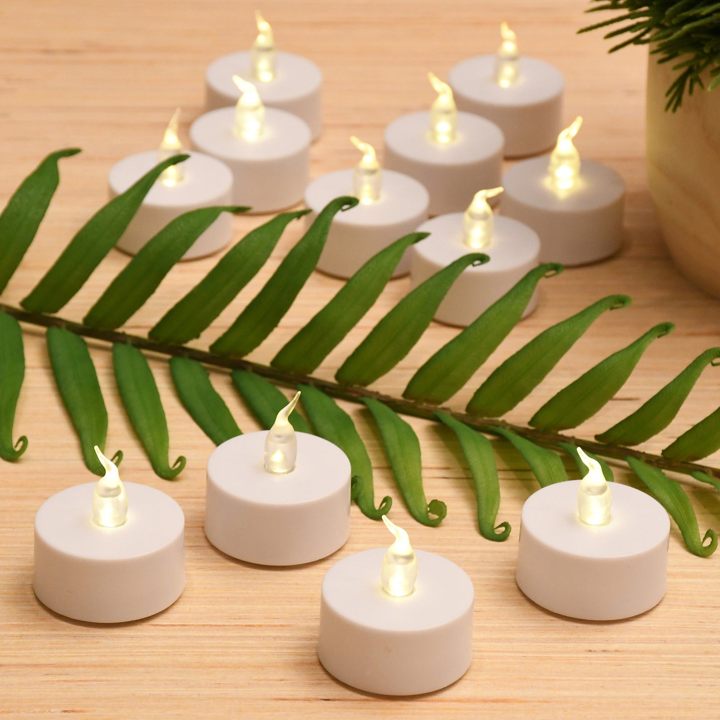 Battery Operated LED Tea Lights - Set of 24 - White