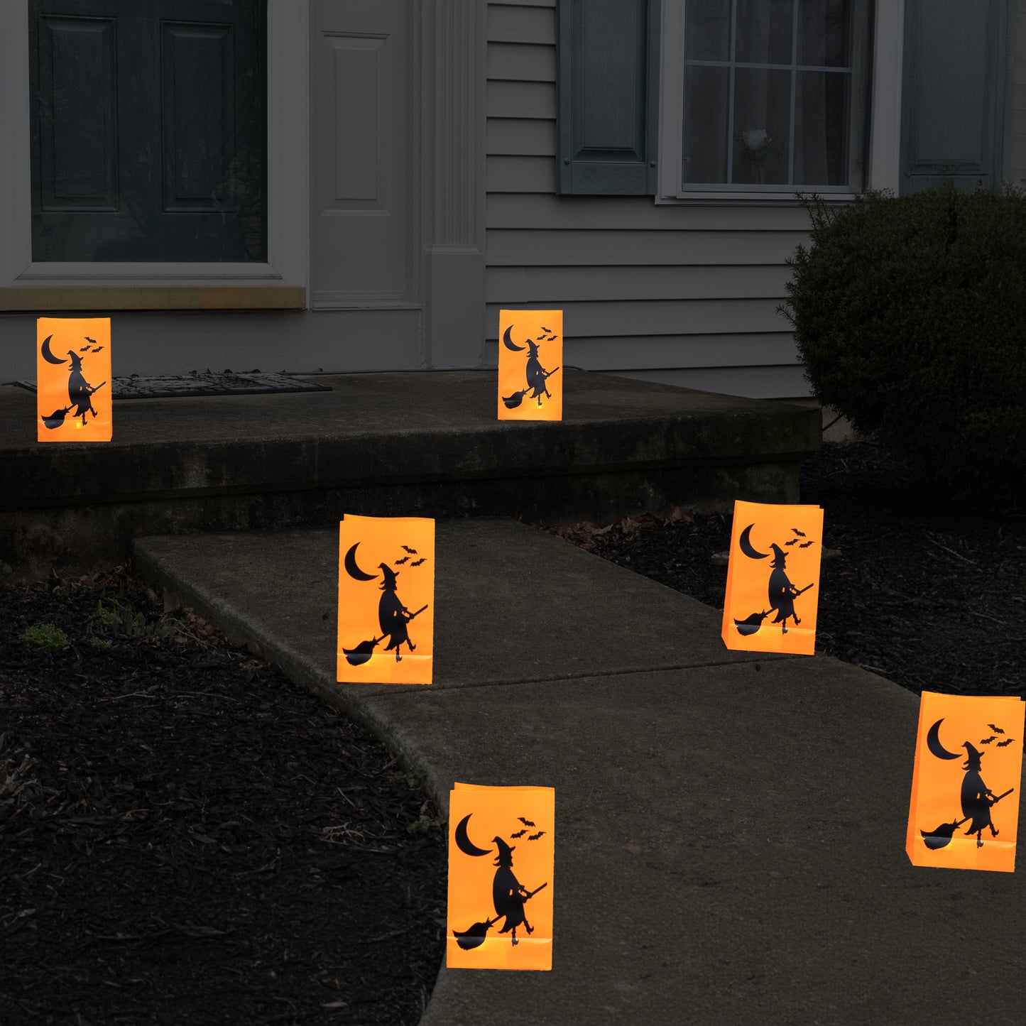 Battery-Operated LED Luminaria Kit, Witch - Set of 6