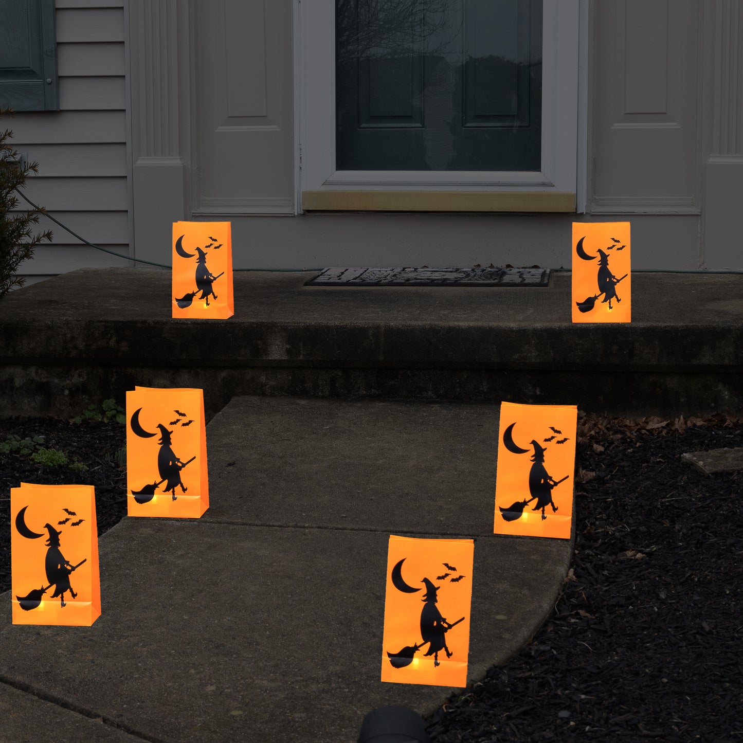 Battery-Operated LED Luminaria Kit, Witch - Set of 6